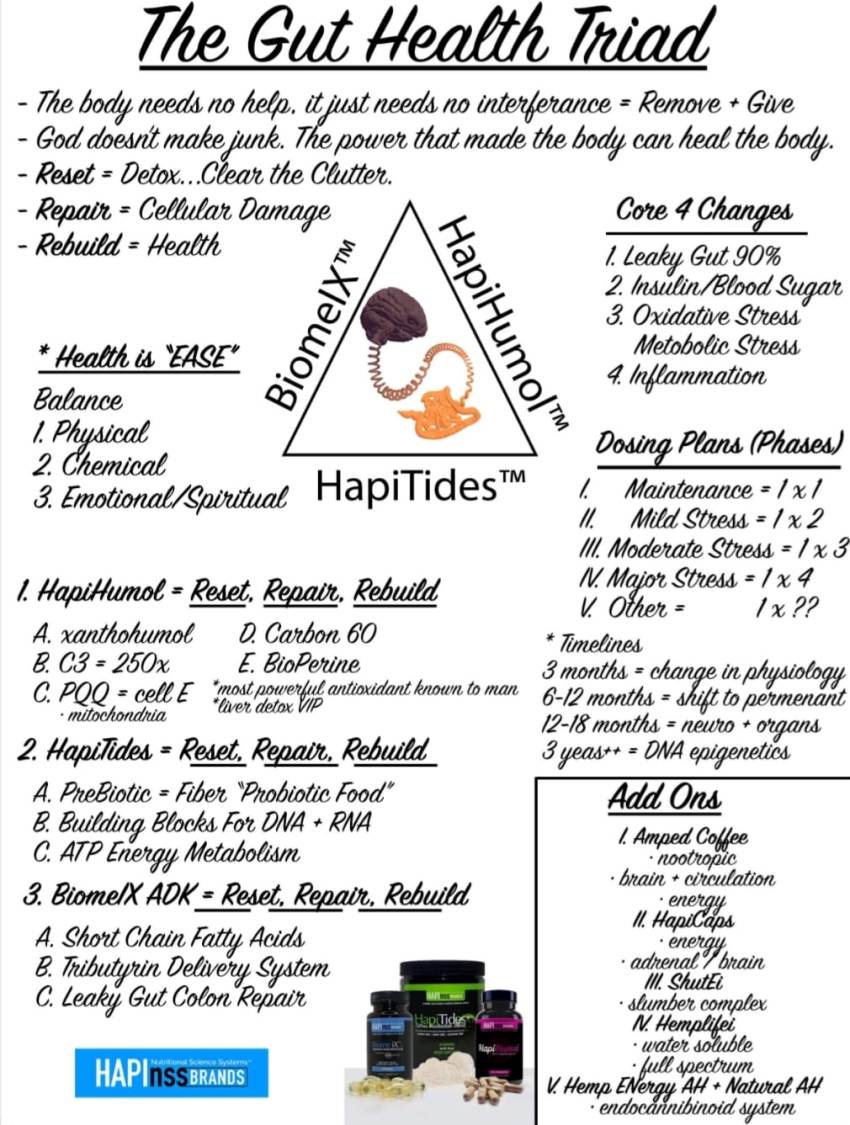 amplifei gut health chart