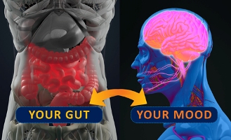 gut and mood microbiome